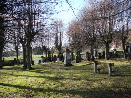 29 Trávník hřbitov