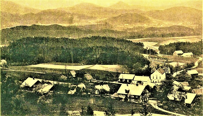 0-travnik-1905zv-.jpg