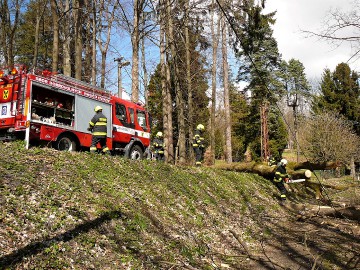 23-hasici-cvikov-1.jpg